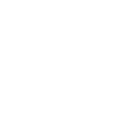 Blanc Icône Instagram